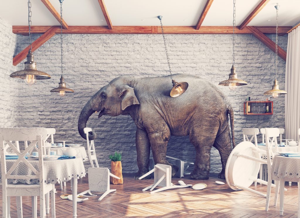 https://depositphotos.com/88648926/stock-photo-the-elephant-in-a-restaurant.html