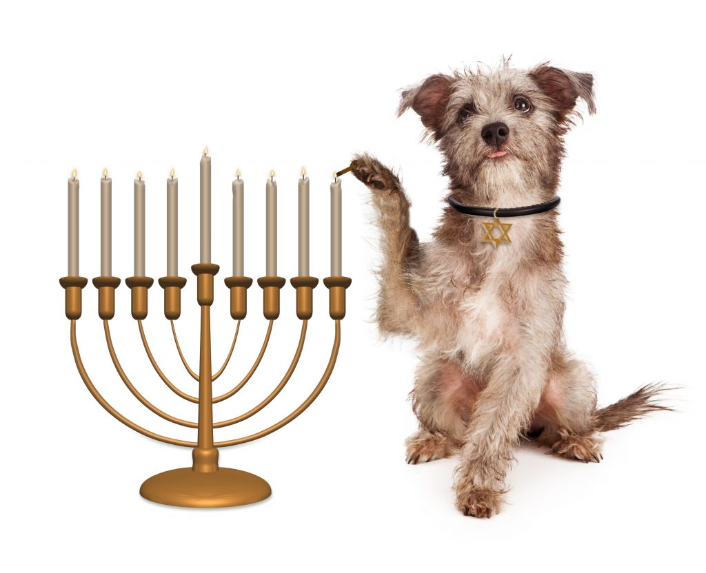 https://depositphotos.com/92991434/stock-photo-dog-lighting-hanukkah-menorah.html