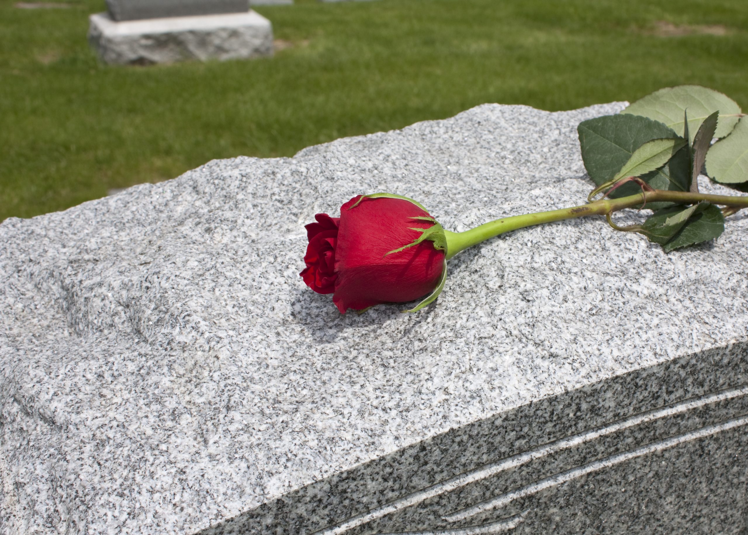 https://depositphotos.com/6528683/stock-photo-rose-on-a-grave.html