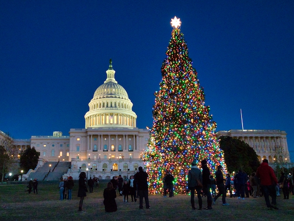 The United States Capitol with the Christmas tree in front of it surrounded by people during the night