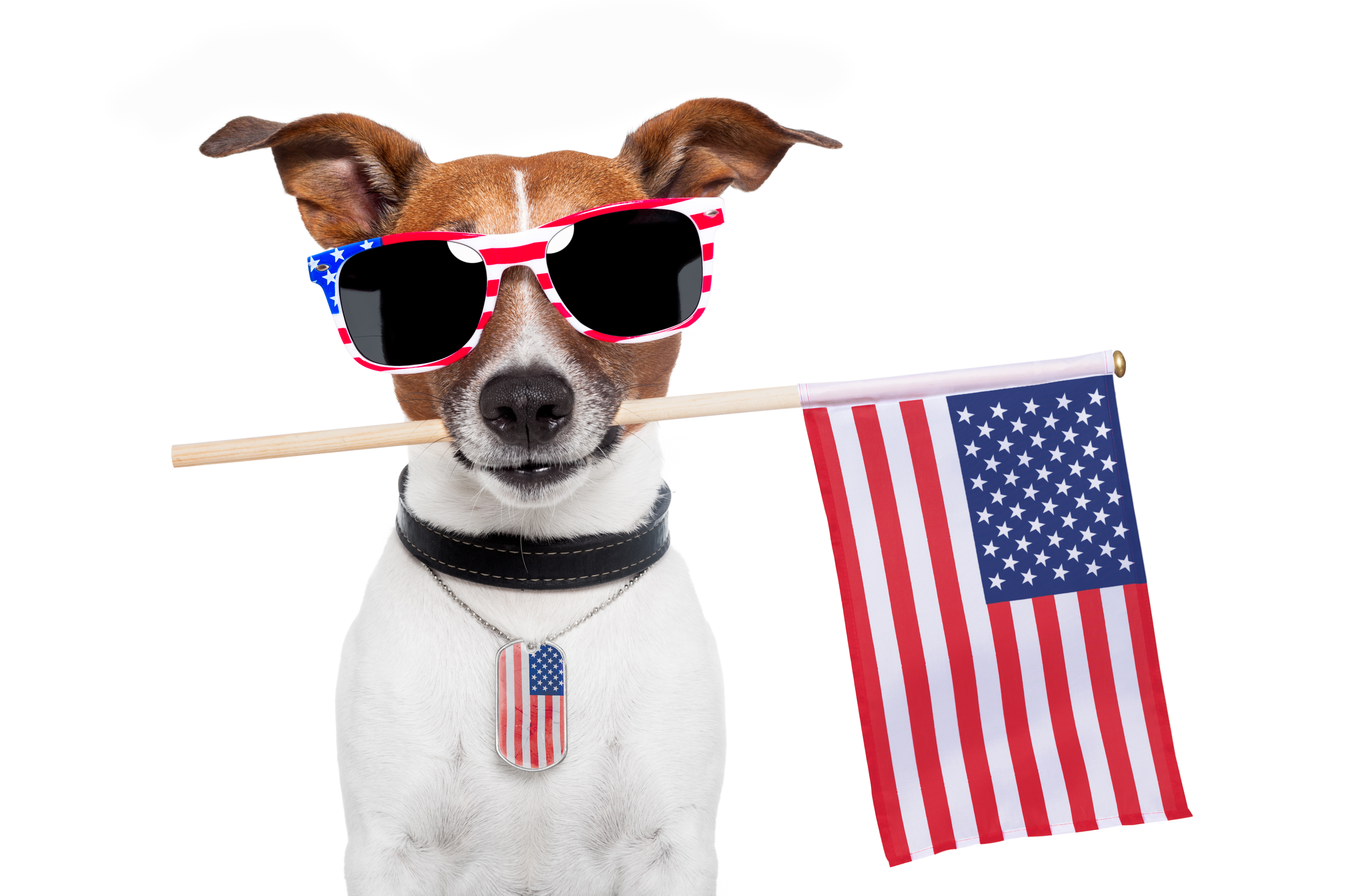 Other Barks & Bites for Friday, July 1: Tillis and Daines Question Google on Political Email Censorship, Third Circuit Finds No Copyright in Fireworks Communications System, and Eleventh Circuit Clarifies Likelihood of Confusion Test in Reverse Infringement Cases